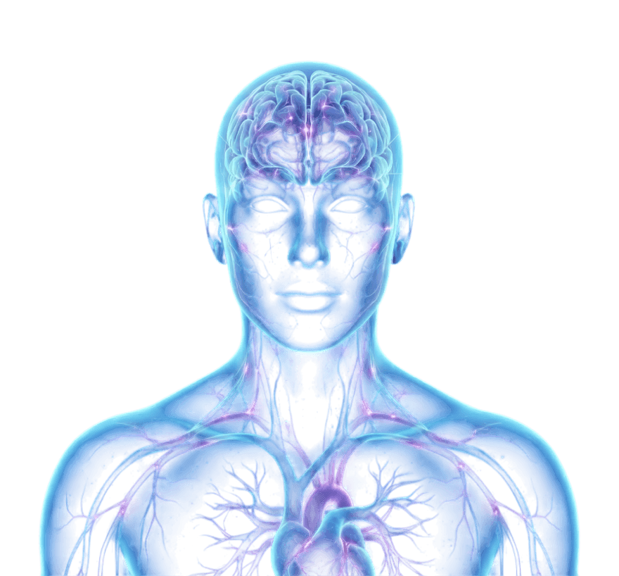 Synheart Ecosystem